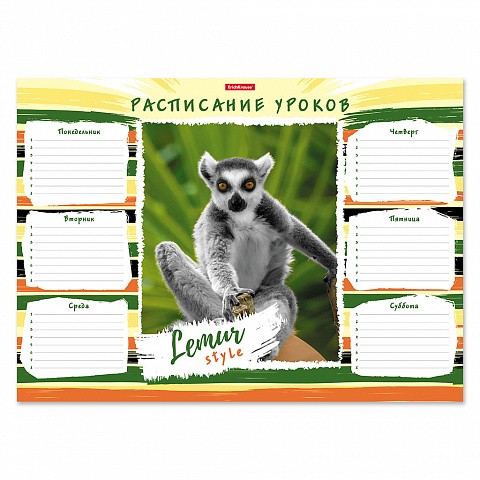 Расписание уроков А3  "Lemur Style" гориз.