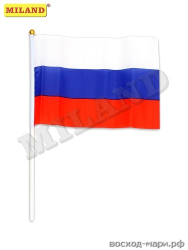 Флаг (Российская символика) 14*21 см