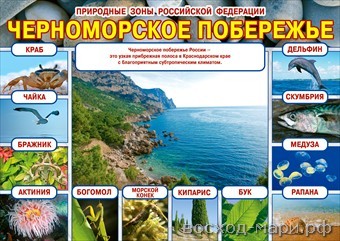 Плакат "Природные зоны РФ. Черноморск.побережье"