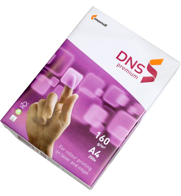 Бумага А4 160г 250л. DNS Premium /5/