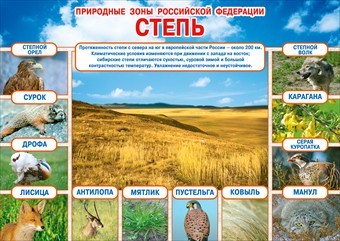 Плакат "Природные зоны РФ. Степь"