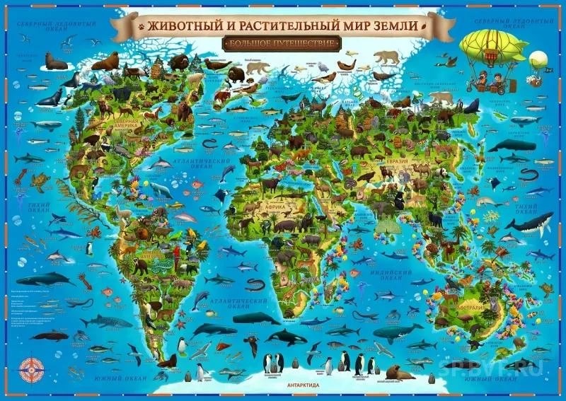 Карта мира интерактив. "Животный и растительный мир Земли" 101х69см