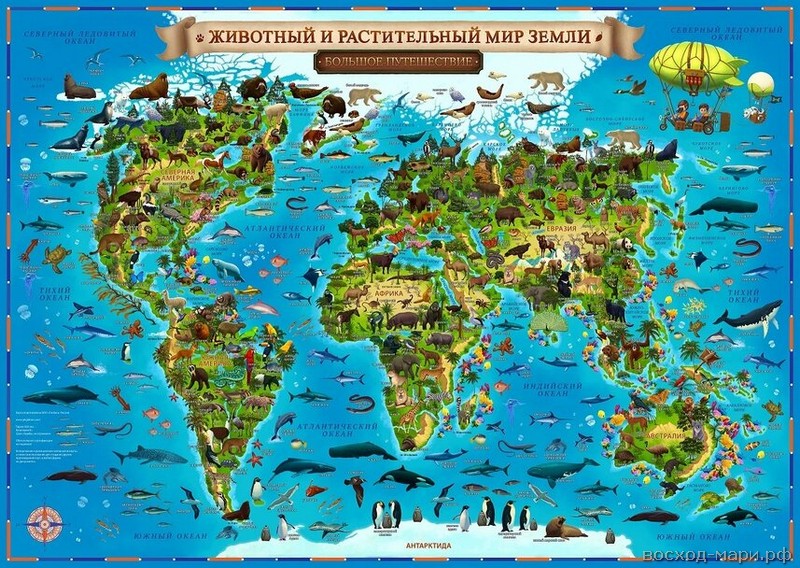 Карта Животный и растит. мир интерактив. 60х40см
