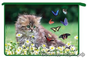 Папка для тетрадей А4 на молнии "Котенок с бабочками"